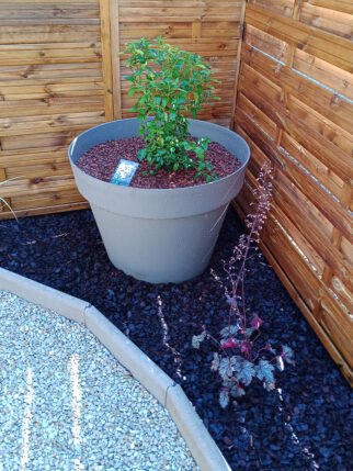 Espace-Vert-Aubois---Jardin-déco